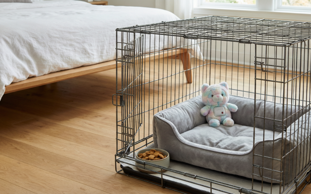 What Dog Trainers Check Before Crate Training for Sleep Anxiety
